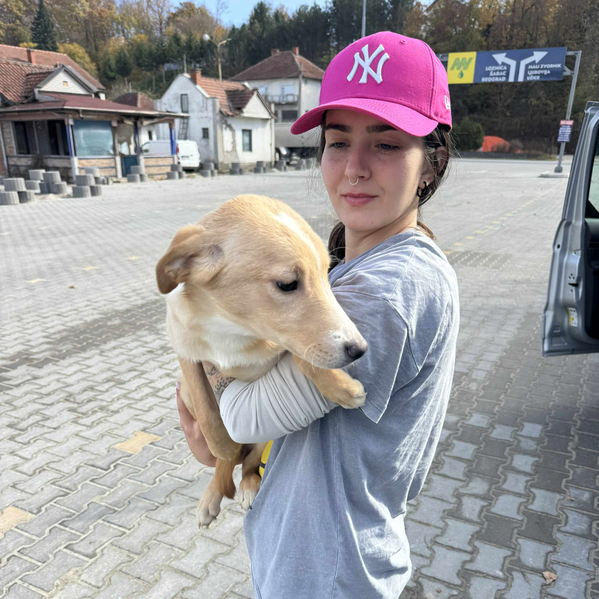 Veterinární péče